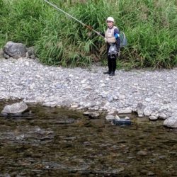 大井川（大井川(非)漁業協同組合） 釣果