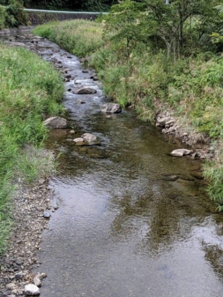 大井川（大井川(非)漁業協同組合） 釣果