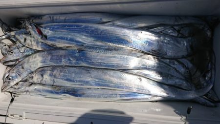 オーフリー 釣果