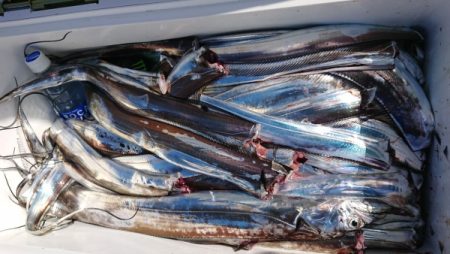 オーフリー 釣果