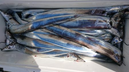 オーフリー 釣果