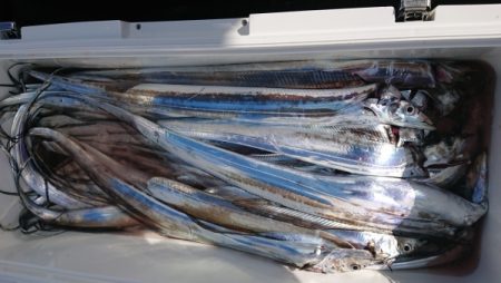 オーフリー 釣果