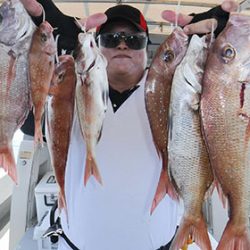 松本釣船２ 釣果