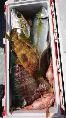 海龍丸（福岡） 釣果