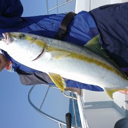 海龍丸（福岡） 釣果