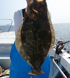 海龍丸（福岡） 釣果