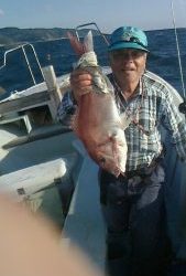 桃太郎丸 釣果