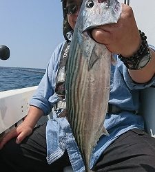 海龍丸（福岡） 釣果