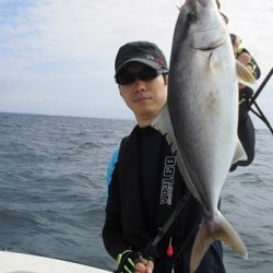 ルアー船マヒマヒ 釣果