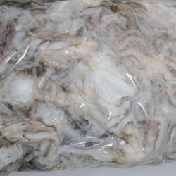 松本釣船２ 釣果