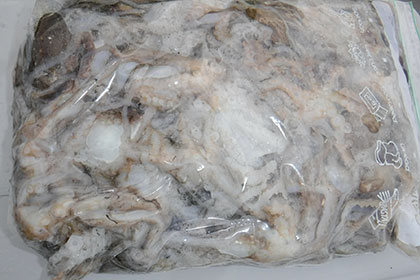 松本釣船２ 釣果