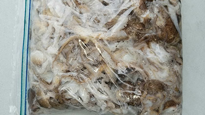 松本釣船２ 釣果