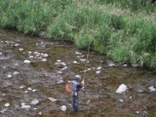 大井川（大井川(非)漁業協同組合） 釣果