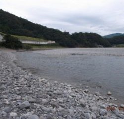 大井川（大井川(非)漁業協同組合） 釣果