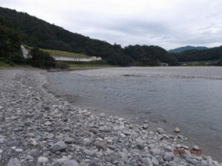 大井川（大井川(非)漁業協同組合） 釣果