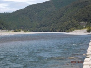 大井川（大井川(非)漁業協同組合） 釣果