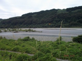 大井川（大井川(非)漁業協同組合） 釣果