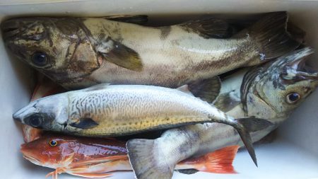 モンロー号 釣果