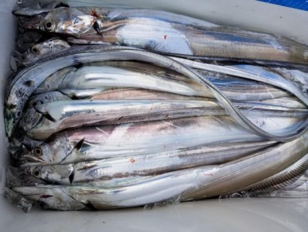 オーフリー 釣果