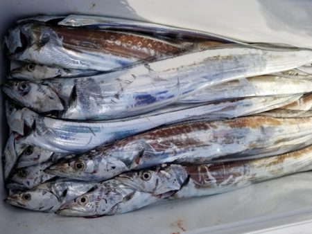 オーフリー 釣果