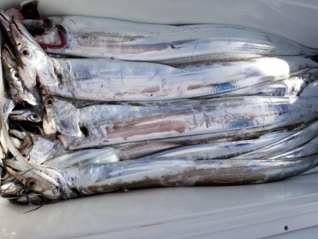 オーフリー 釣果