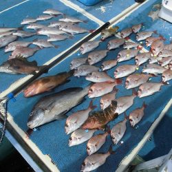 十八宝洋丸 釣果