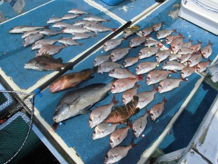 十八宝洋丸 釣果