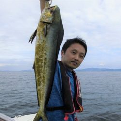 ルアー船マヒマヒ 釣果