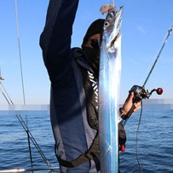 松本釣船２ 釣果