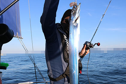 松本釣船２ 釣果