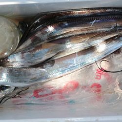 松本釣船２ 釣果