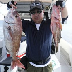 松本釣船２ 釣果