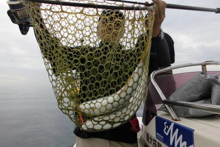 ルアー船マヒマヒ 釣果