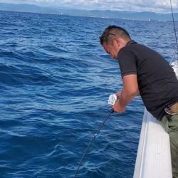 ブルーピア 釣果