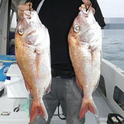 松本釣船２ 釣果