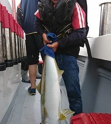 海龍丸（福岡） 釣果