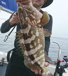 海龍丸（福岡） 釣果