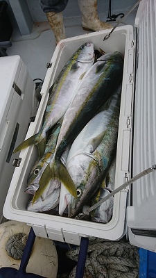 海龍丸（福岡） 釣果