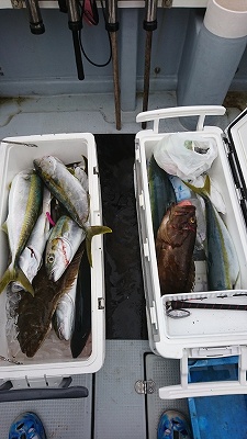 海龍丸（福岡） 釣果