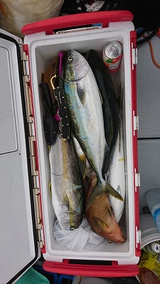 海龍丸（福岡） 釣果