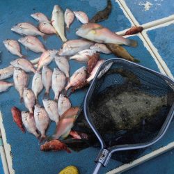 十八宝洋丸 釣果