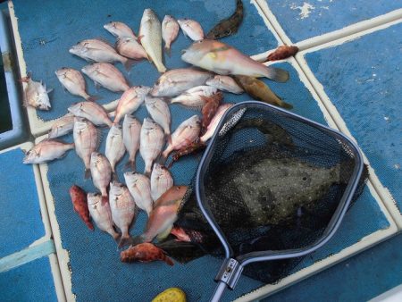 十八宝洋丸 釣果