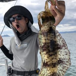 Magic（マジック） 釣果