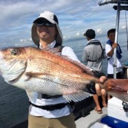 シーマジカル 釣果