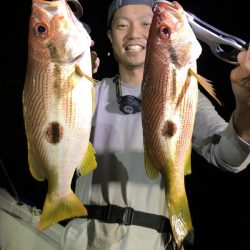 Magic（マジック） 釣果