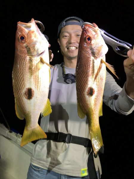 Magic（マジック） 釣果