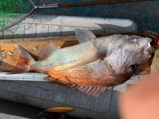 幸吉丸 釣果