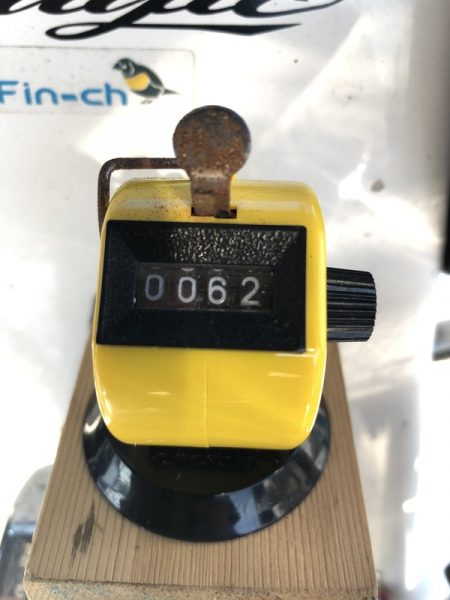 Magic(マジック) 釣果