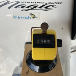 Magic(マジック) 釣果