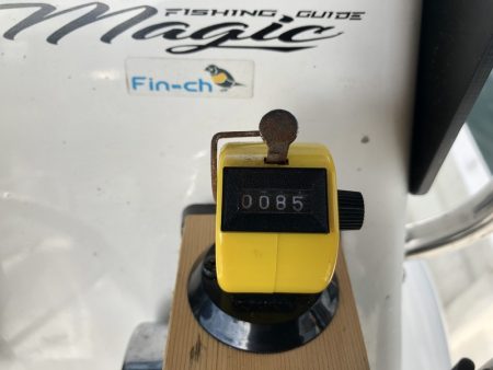 Magic(マジック) 釣果